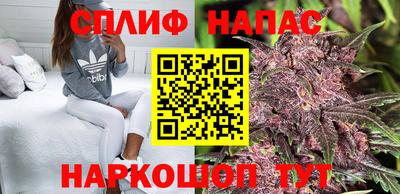 гашик Татарск
